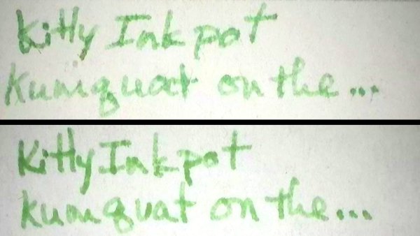 KittyInkpotKumquatontheOtherShoreAP.jpg