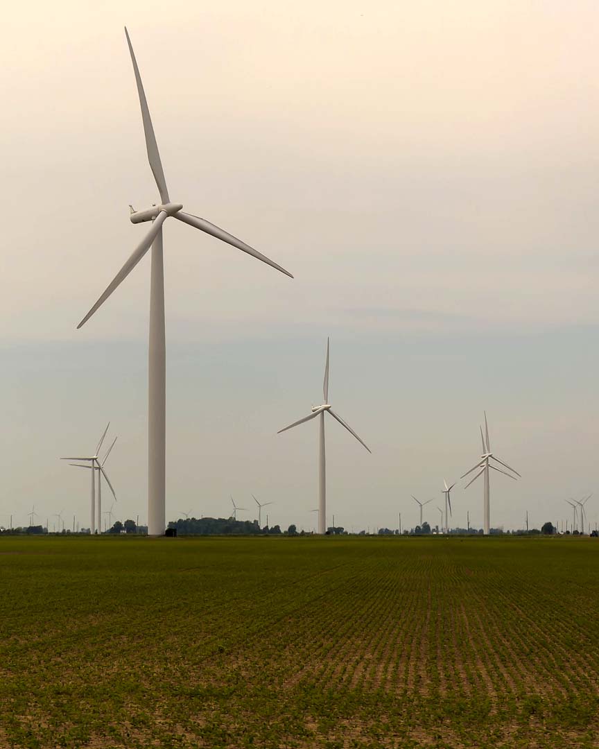 fpn_1437529556__on_a_sem_des_oliennes.jp