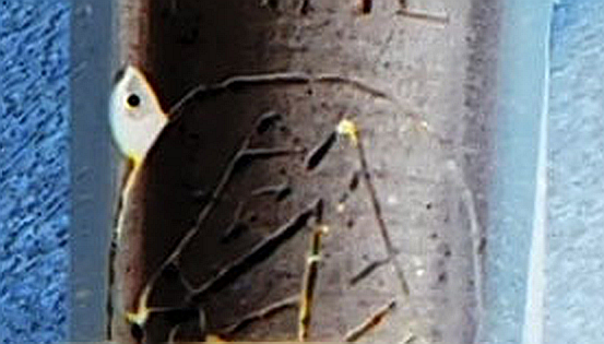 fpn_1457762088__unknown_button-filler_ni