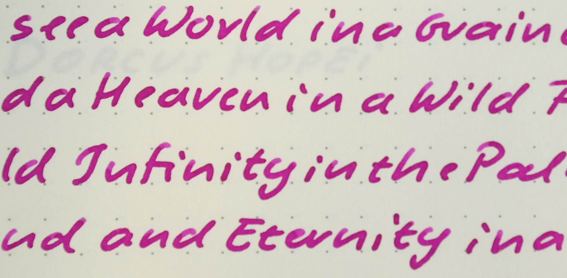 fpn_1458075634__magenta_tibaldi_leuchttu