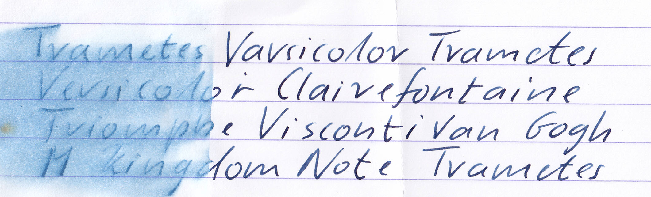 fpn_1467647694__trametesversicolor_h2o.j