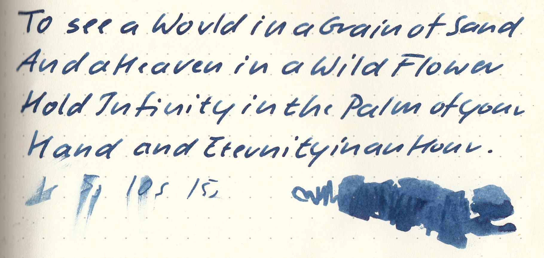 fpn_1467661729__trametesversicolor_l_1.j