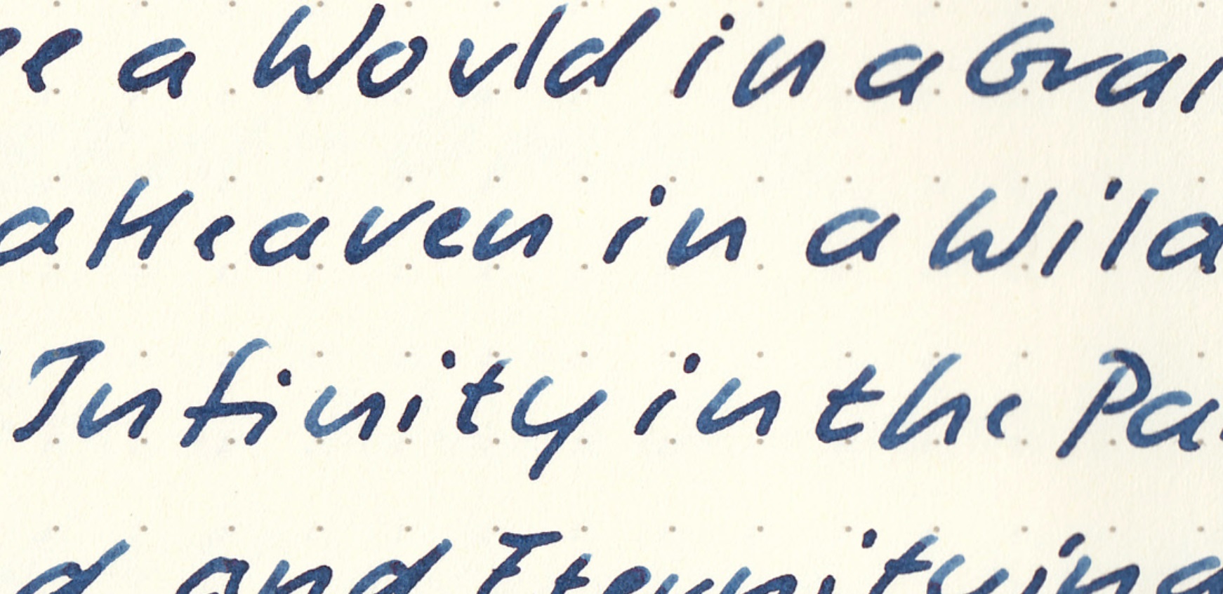 fpn_1467661739__trametesversicolor_l_2.j