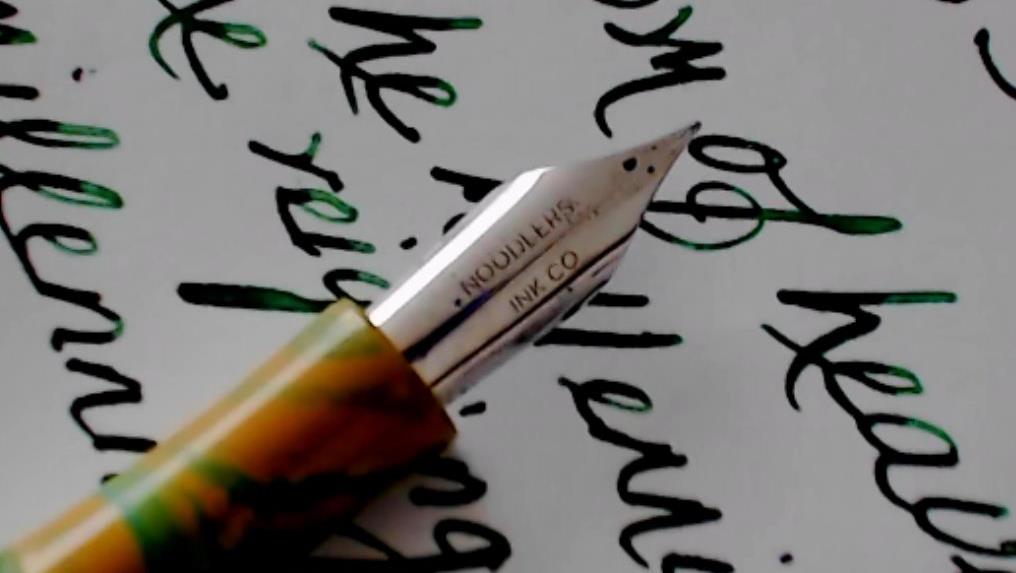 fpn_1468437207__rangamodel8noodlersnib.j