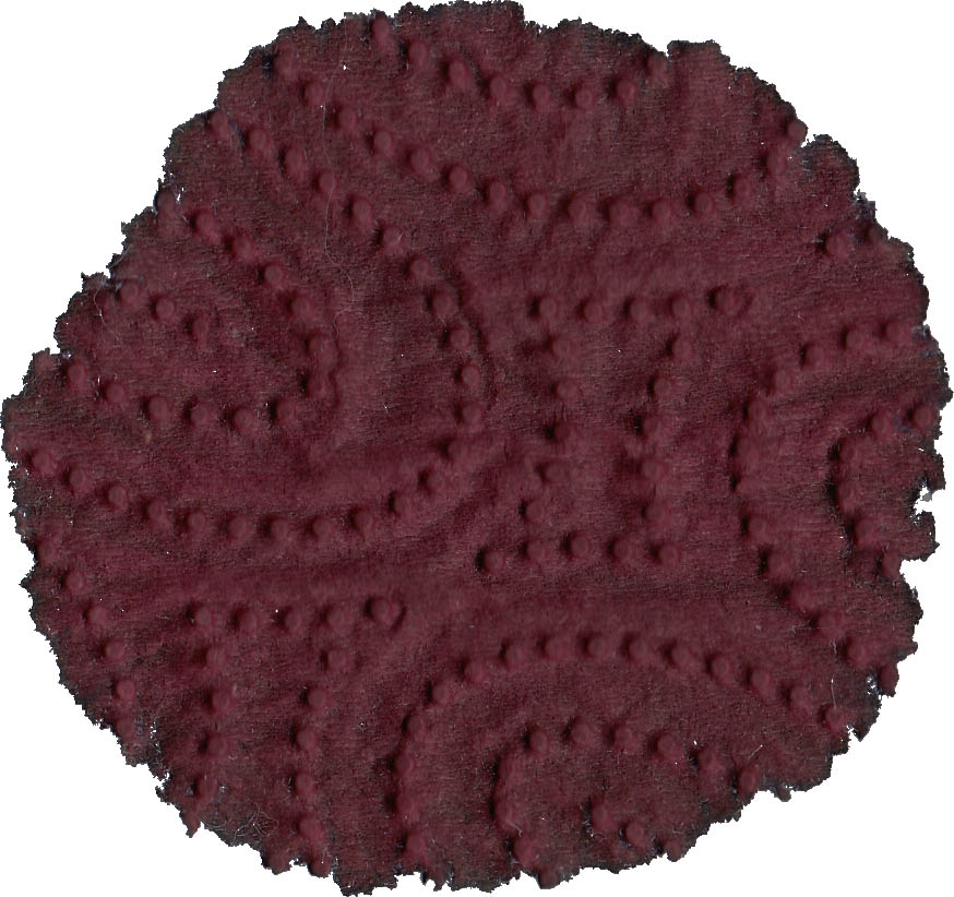 fpn_1495273500__maroon_robertoster_rk.jp