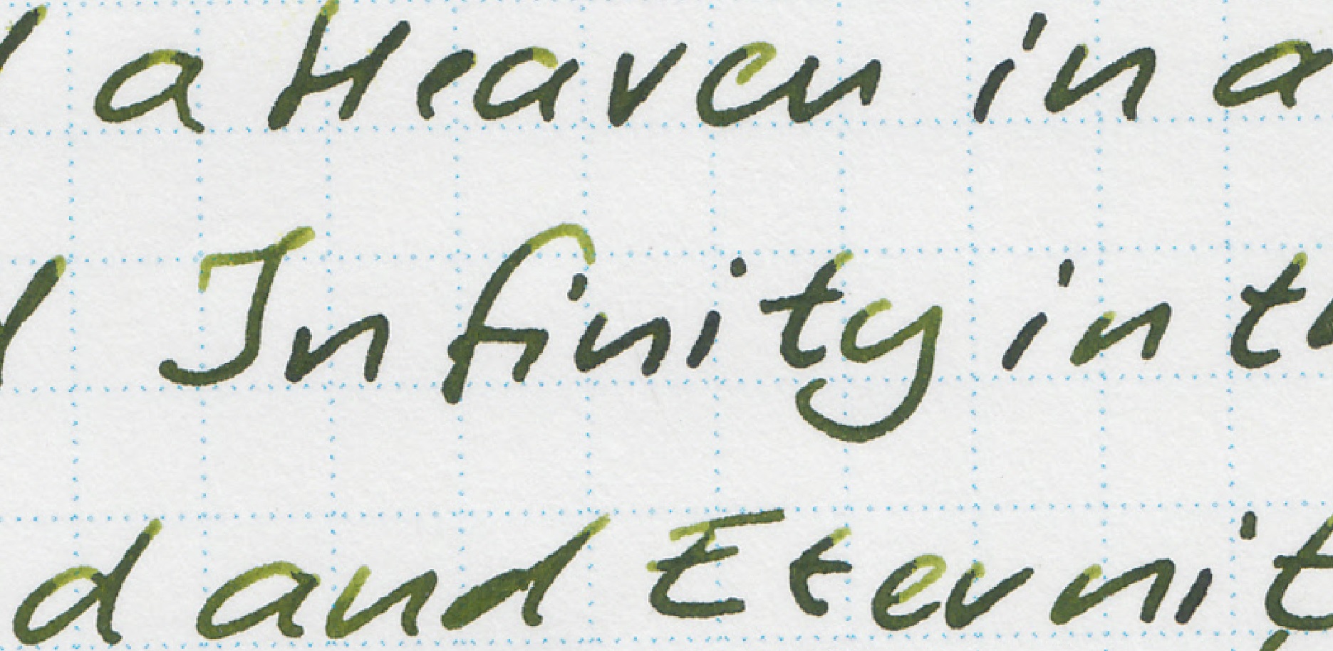 fpn_1503740587__australianbush_midori_2.