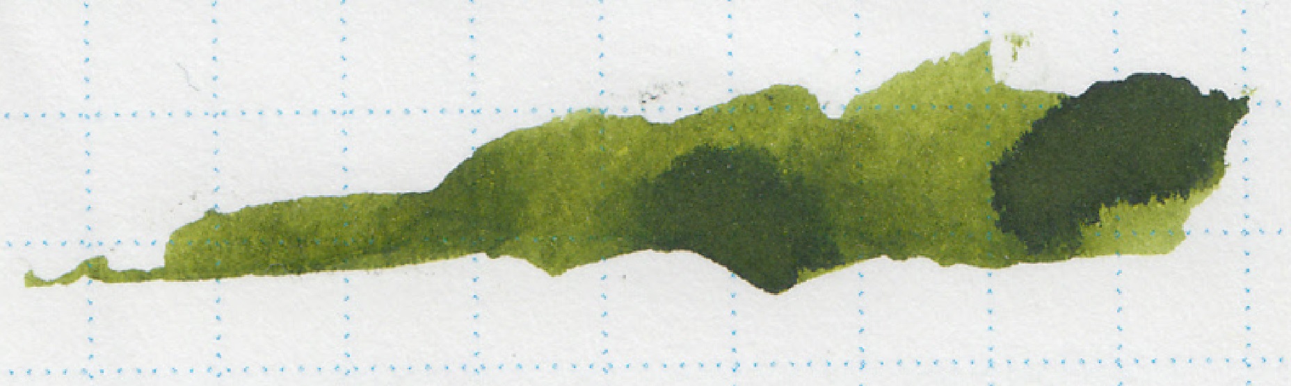 fpn_1503740642__australianbush_midori_5.