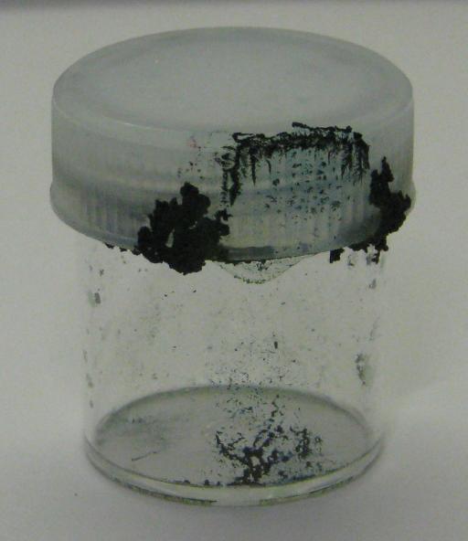 fpn_1505295788__australianbushescapes.jp