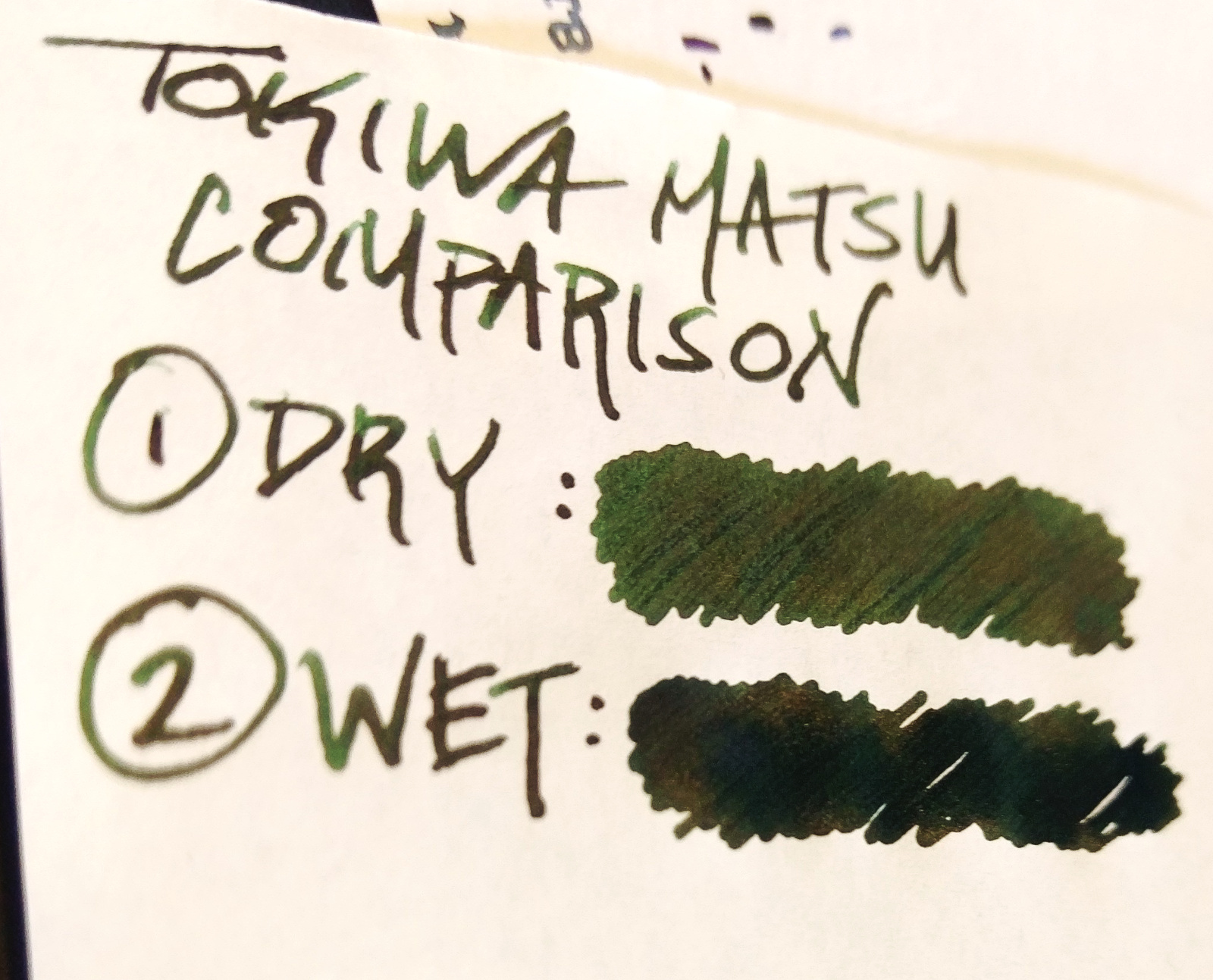 fpn_1505779535__tokiwa-matsu_comparison.