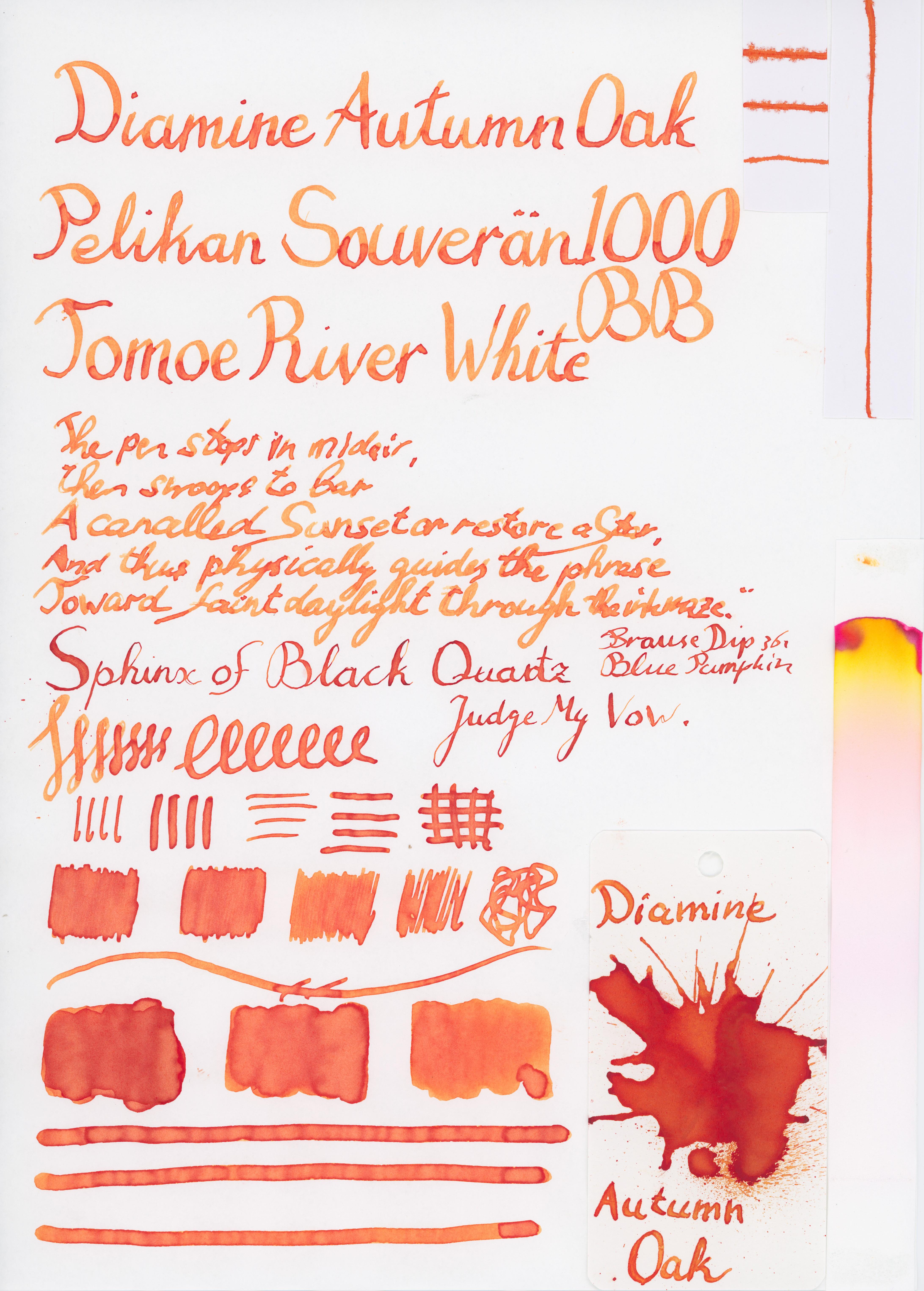 fpn_1507220477__diamine_autumn_oak_comp.