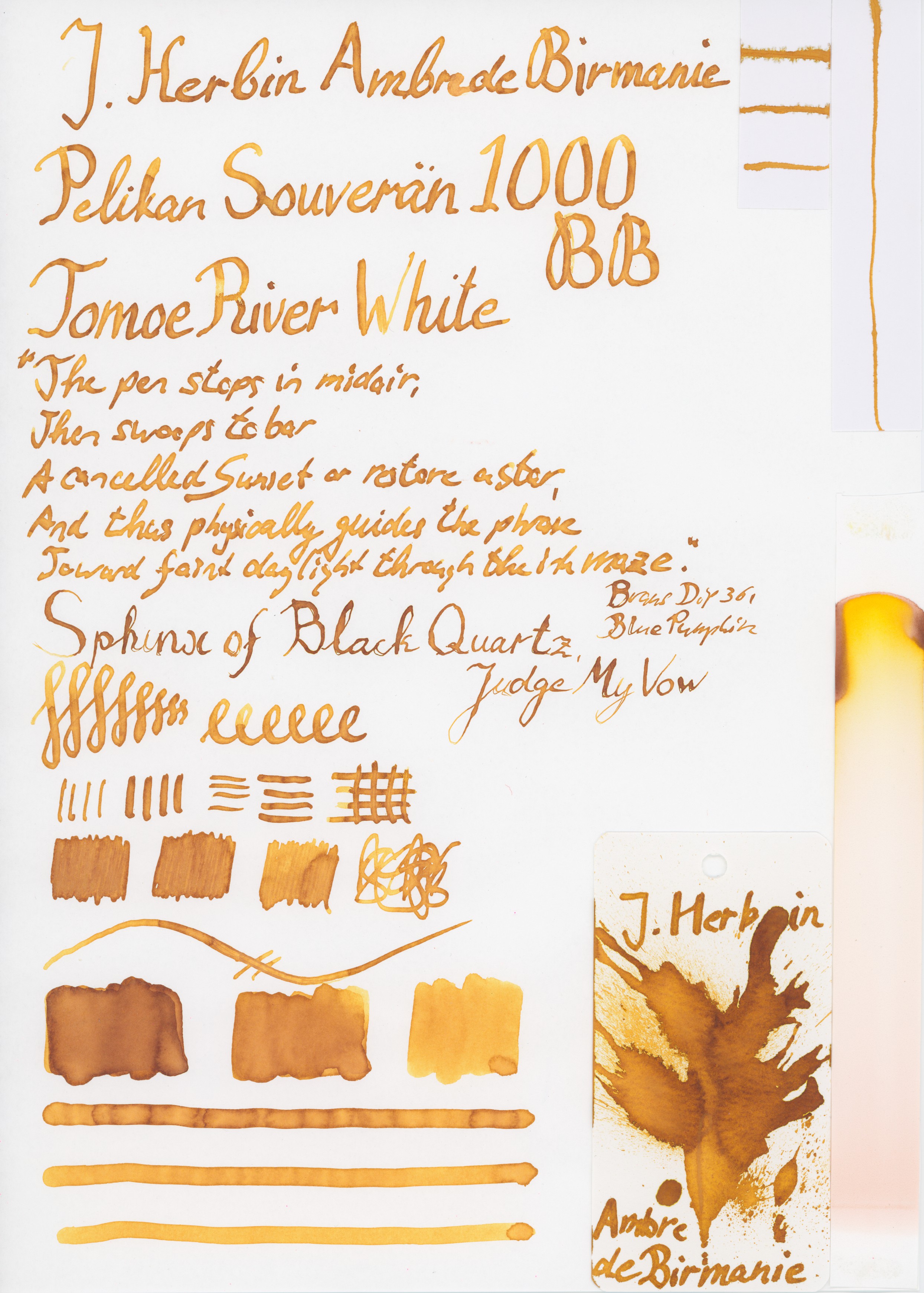 fpn_1510937666__j_herbin_ambre_de_birman