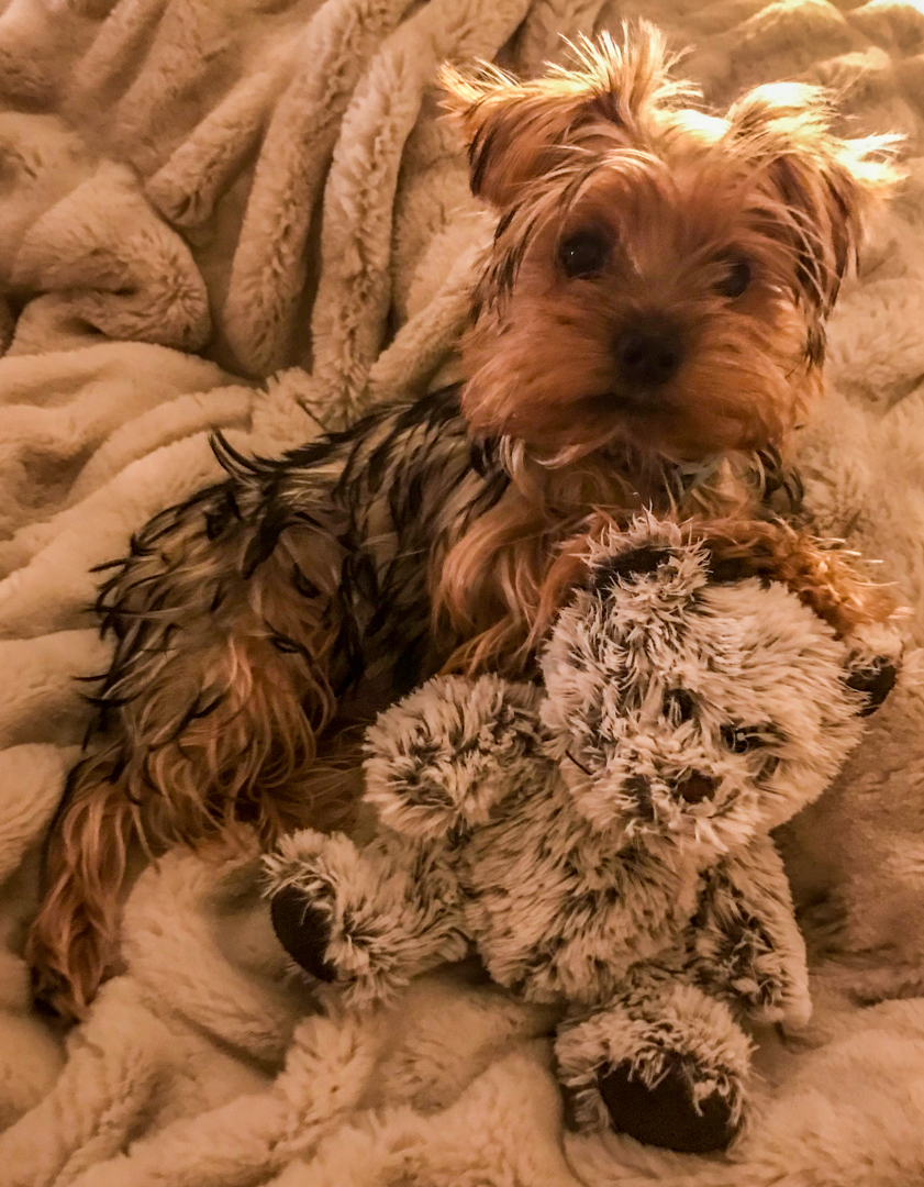 fpn_1510971740__theo_and_teddy.jpg
