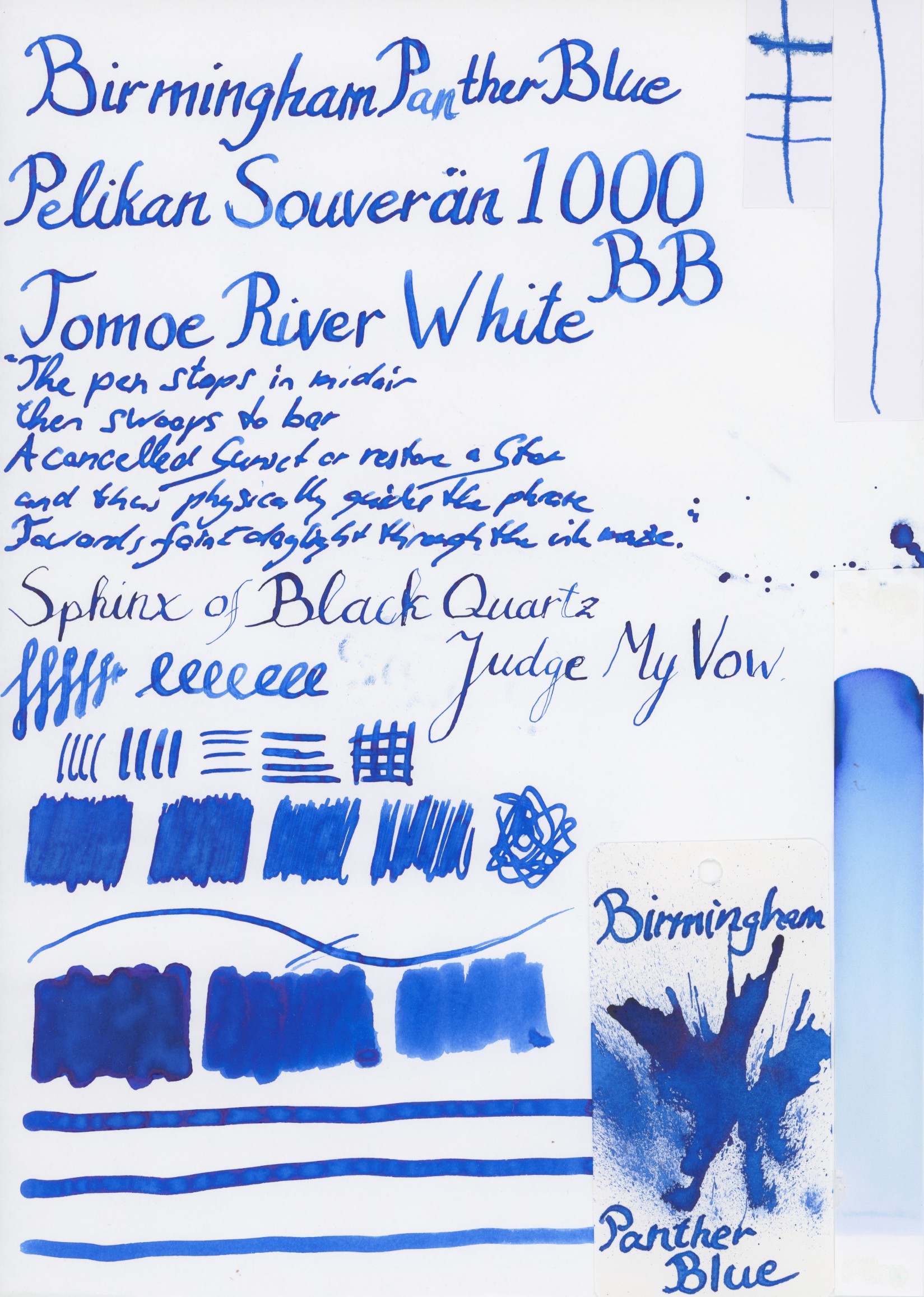 fpn_1521313642__birmingham_panther_blue.