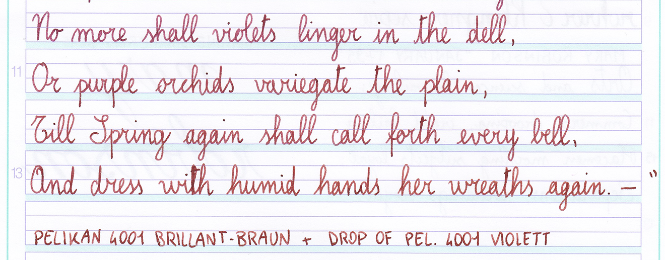 fpn_1525858336__pelikan_4001_braun_smith