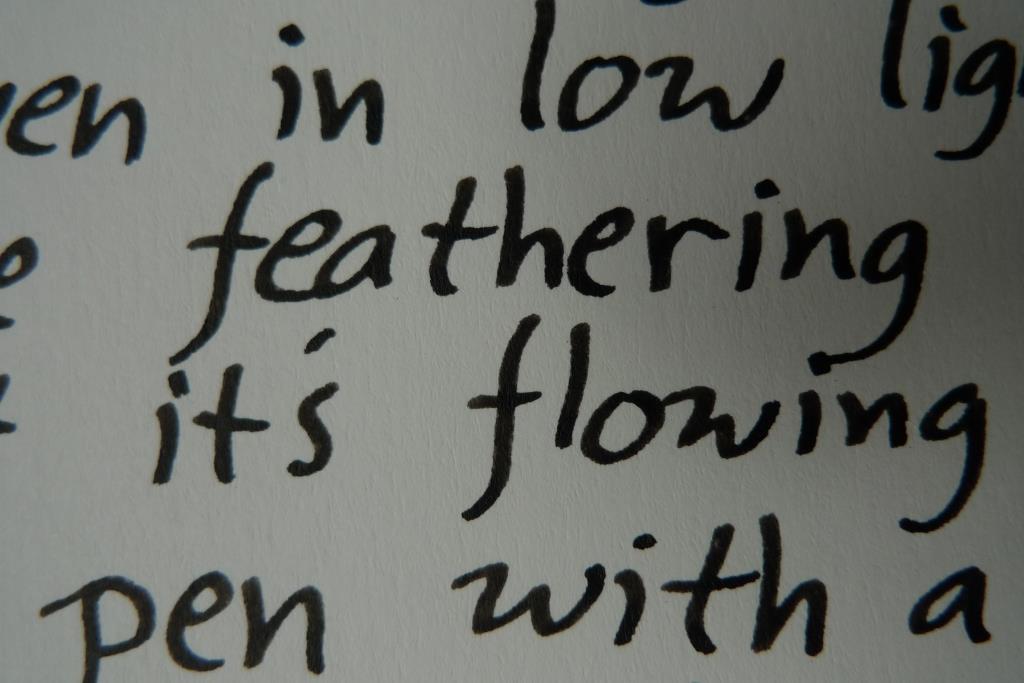 fpn_1529503846__kinbor_10_noodlers_black