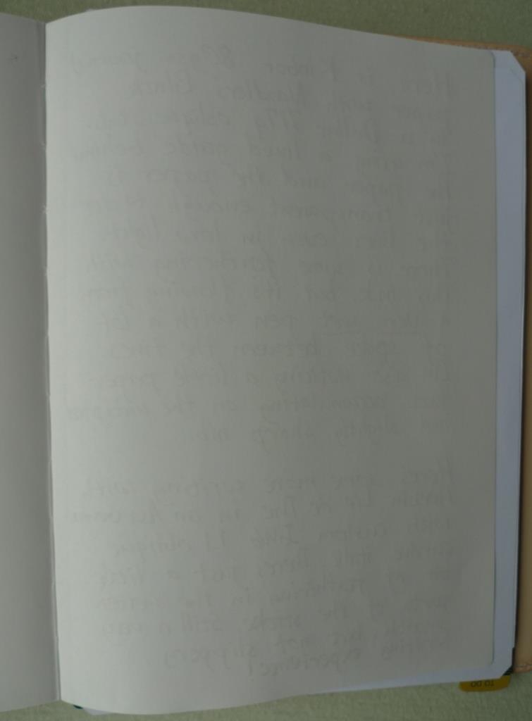 fpn_1529504025__kinbor_13_back_compresse