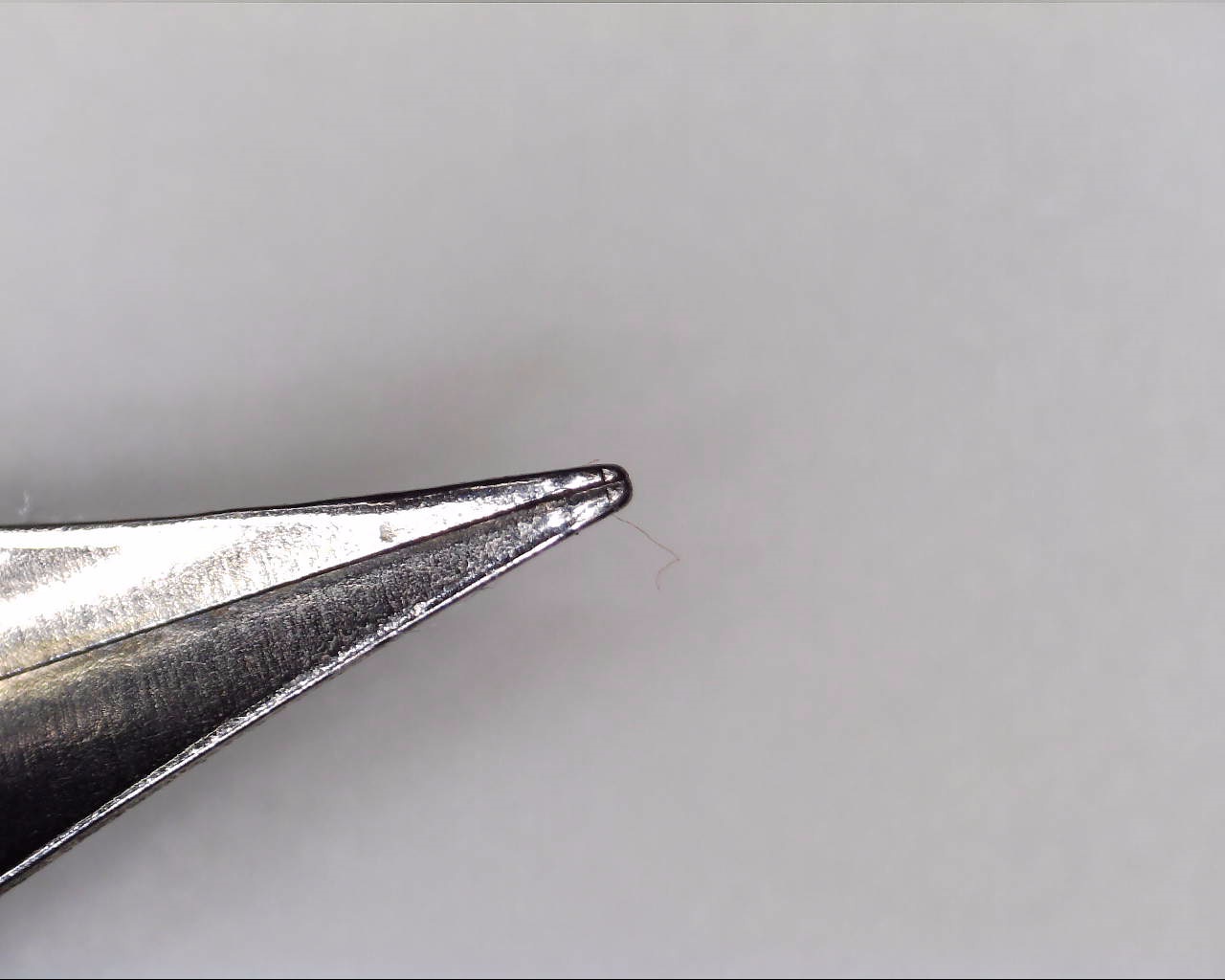 fpn_1543454763__barion_pen_45_turne_up_t