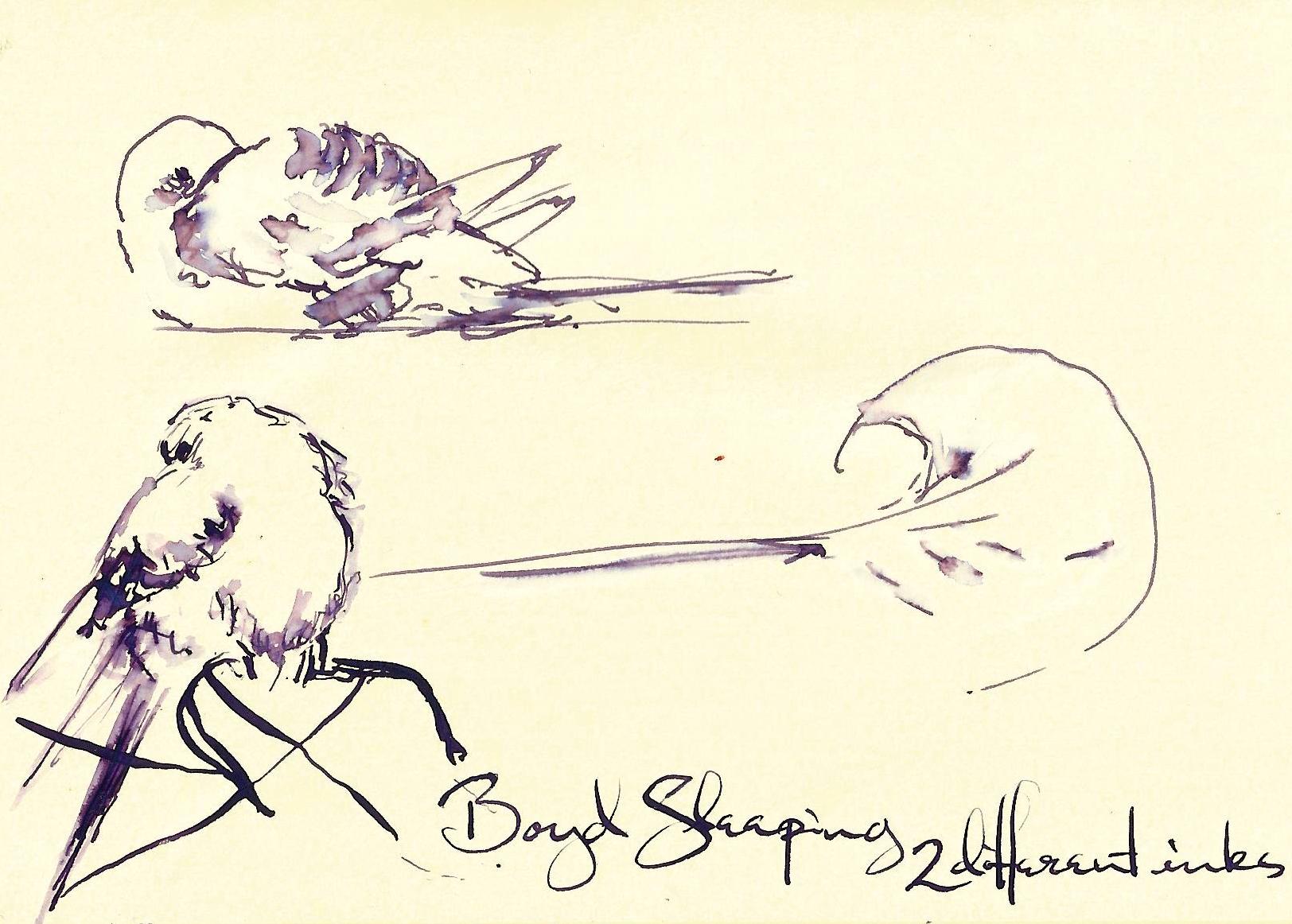 fpn_1561316859__boyd_sleeping_2_violets.