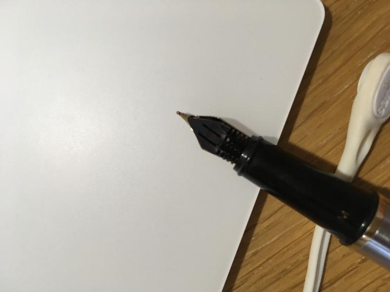 Scratchy Fountain Pen 2025