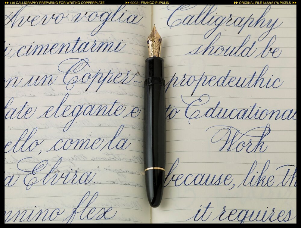 640383992_Montblanc149CalligraphypreparingforCopperplate.thumb.jpg.187c1218ee41bd7398790f0b00f09bea.jpg