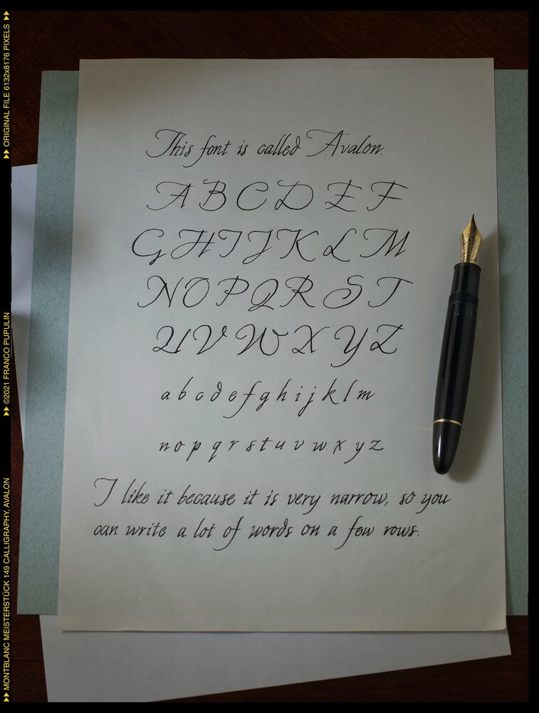 1258168164_Montblanc149CalligraphyAvalonFP.thumb.jpg.40a229262c6e9001cab928b3c410901d.jpg