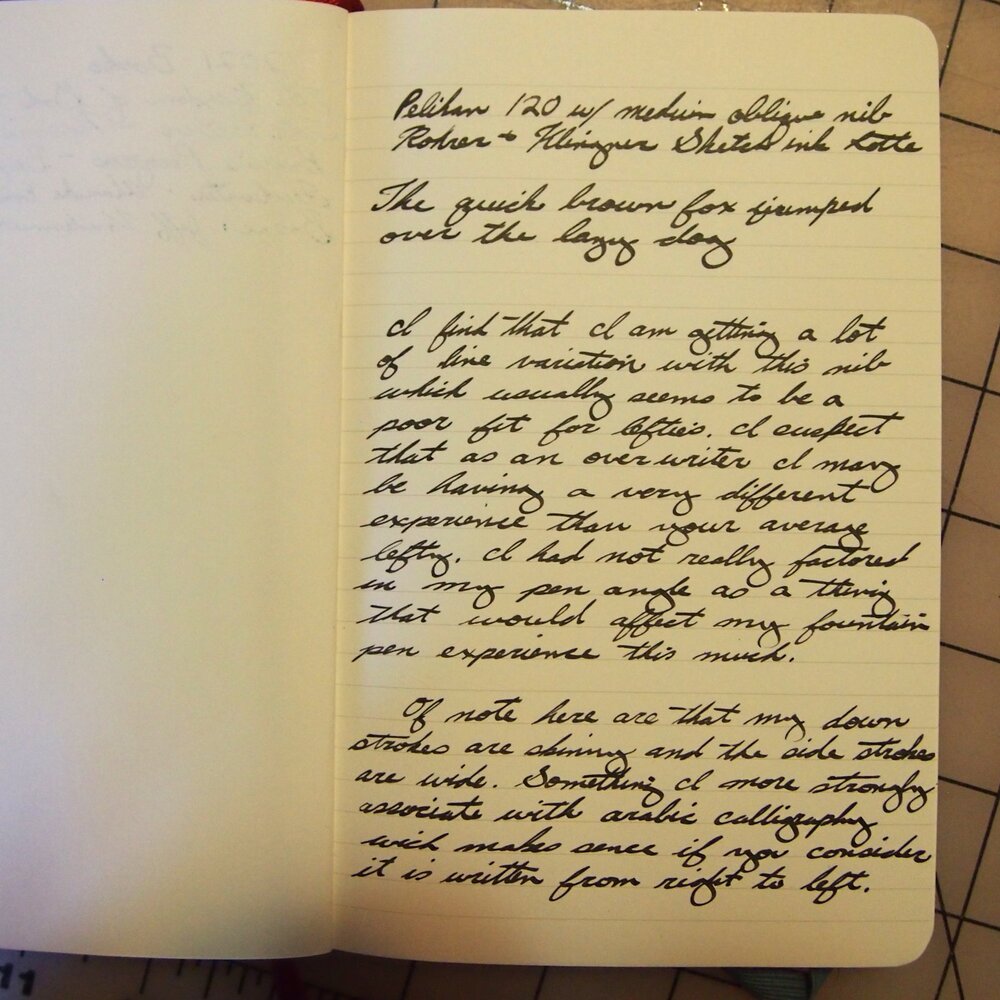 pelikan_sample.thumb.jpg.e4b27a53d134f2badc4431e1e9f468ad.jpg