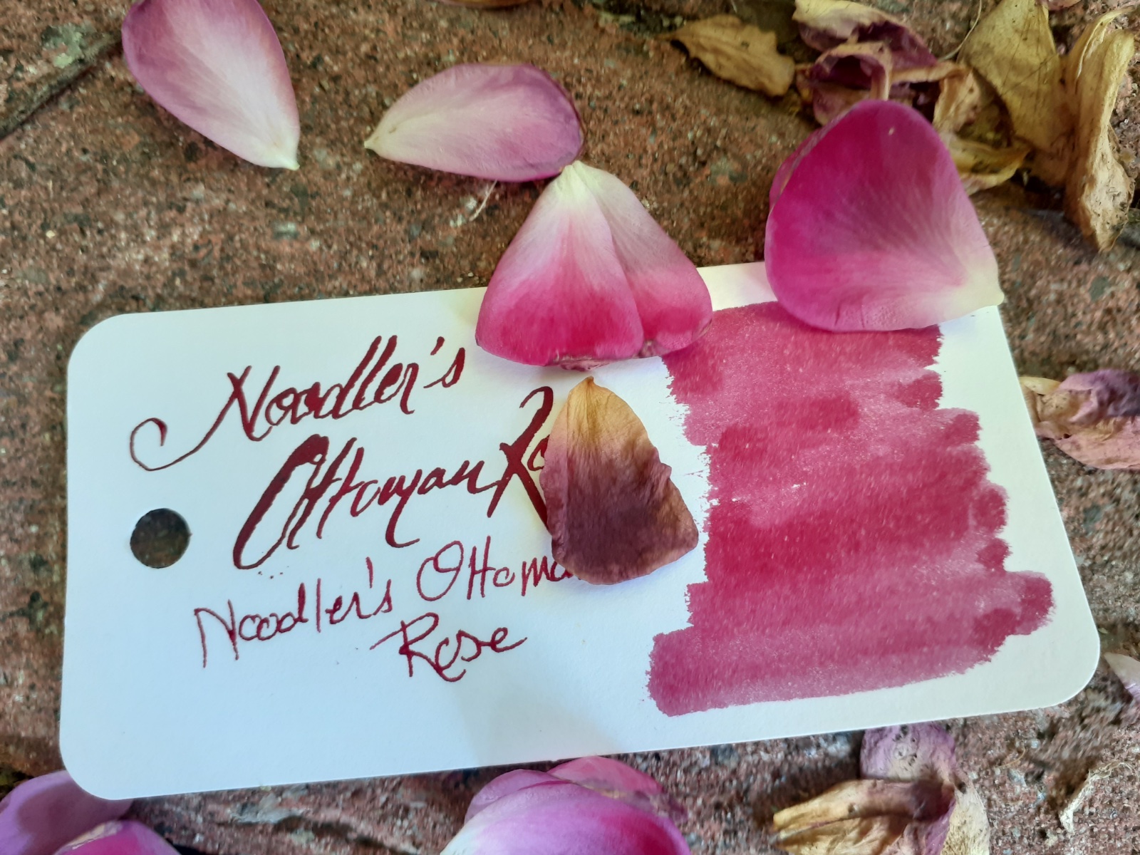 Are you looking to purchase an Noodlers Ink Roses in the Louvre