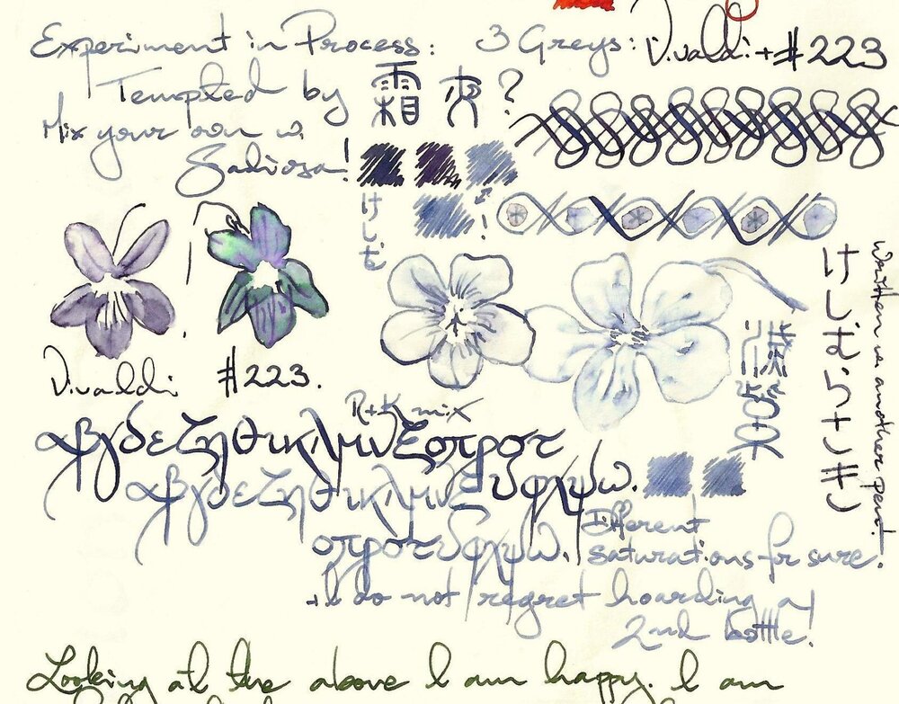 Saliosa & Gentle Grey Violets.jpg