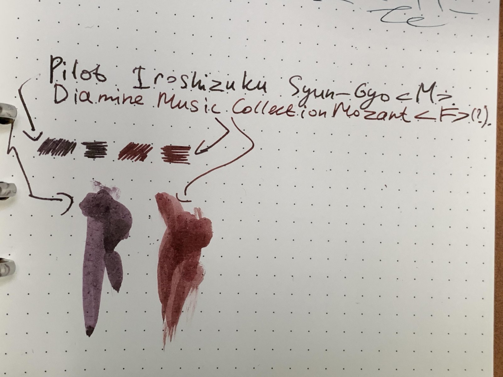 Pilot Iroshizuku Syun-Gyo - Ink Reviews - The Fountain Pen Network