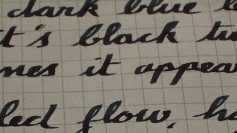 ink review: noodler's black revisited - Seize the Dave