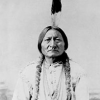 Sittingbull